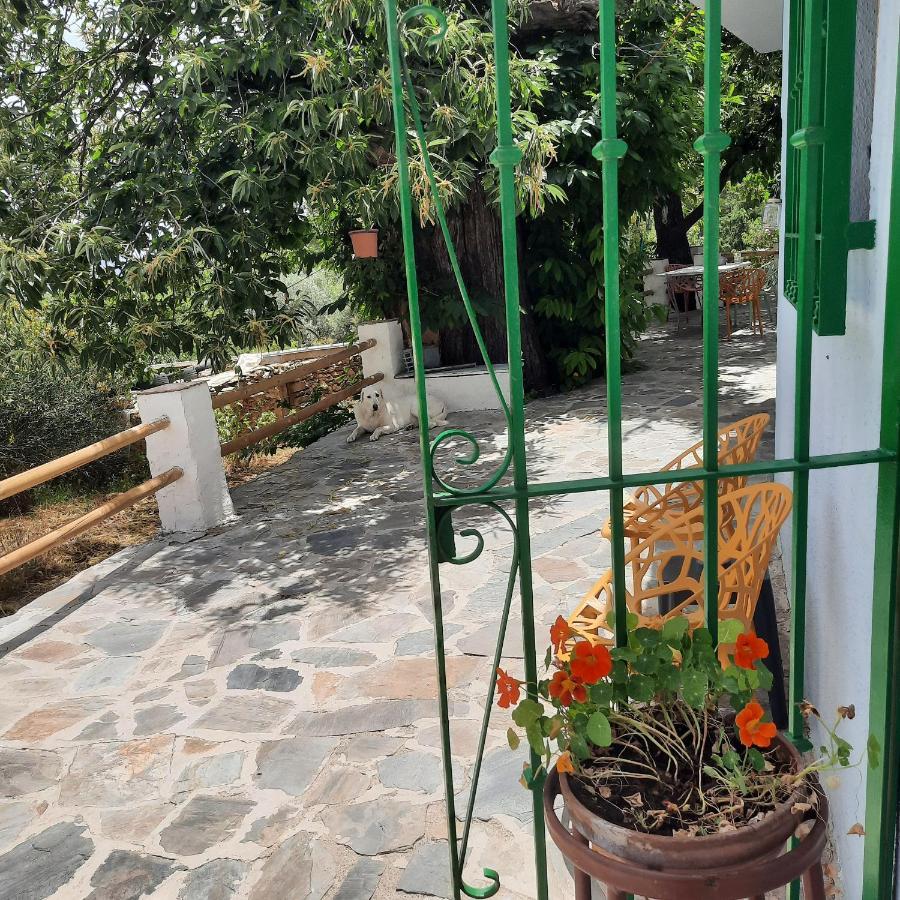 Alpujarra Guesthouse, Remote Off-grid Mountain Bed & Breakfast Canar