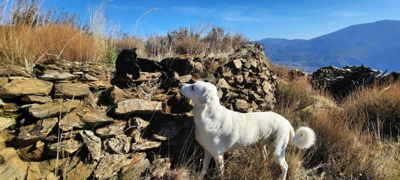 Alpujarra Guesthouse, Remote Off-grid Mountain * Canar