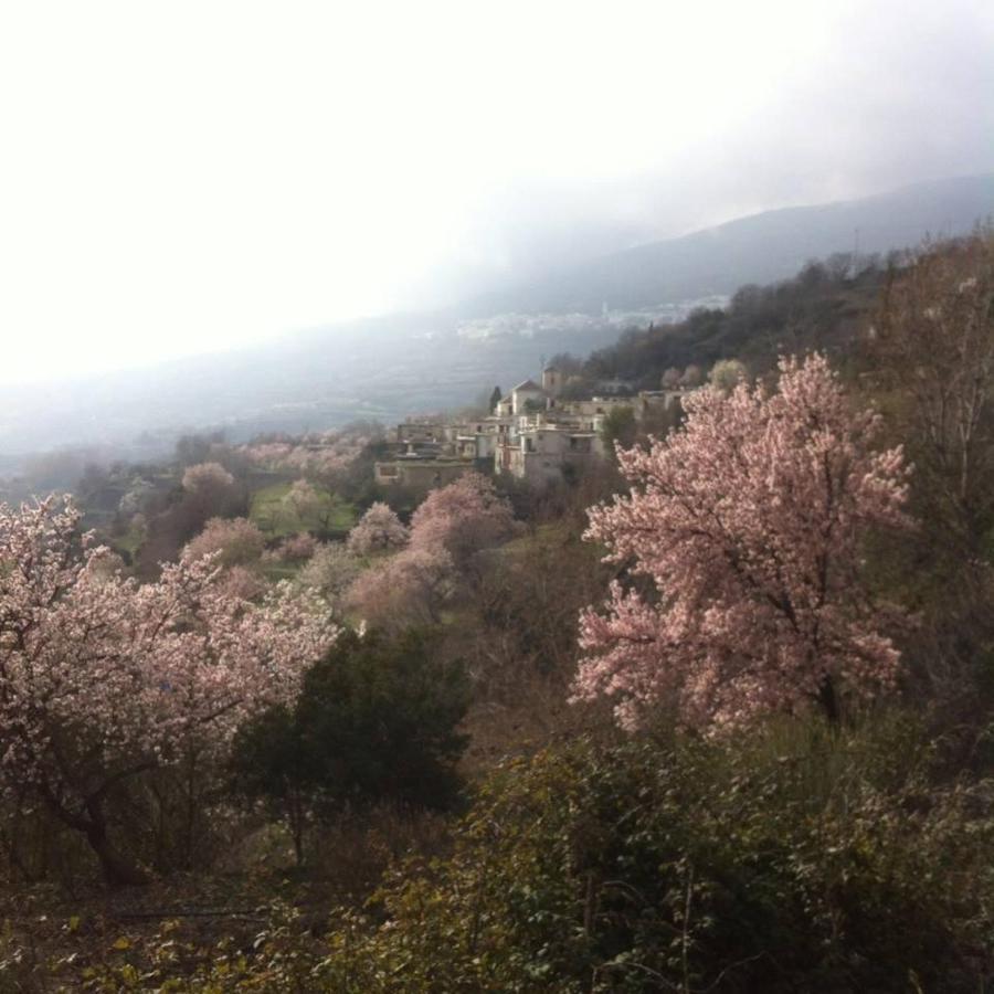 Alpujarra Guesthouse, Remote Off-grid Mountain
