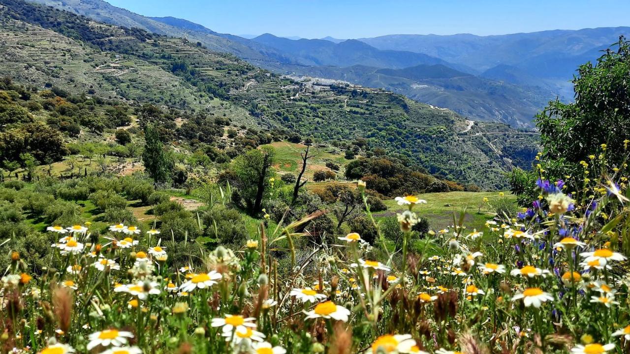 Alpujarra Guesthouse, Remote Off-grid Mountain *
